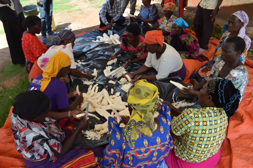 Impact of climate action & adaptation solutions in addressing the triple crisis of food & livelihood security: Lessons from Africa