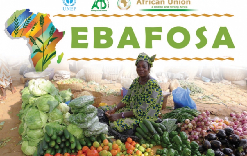 EBAFOSA Brochure